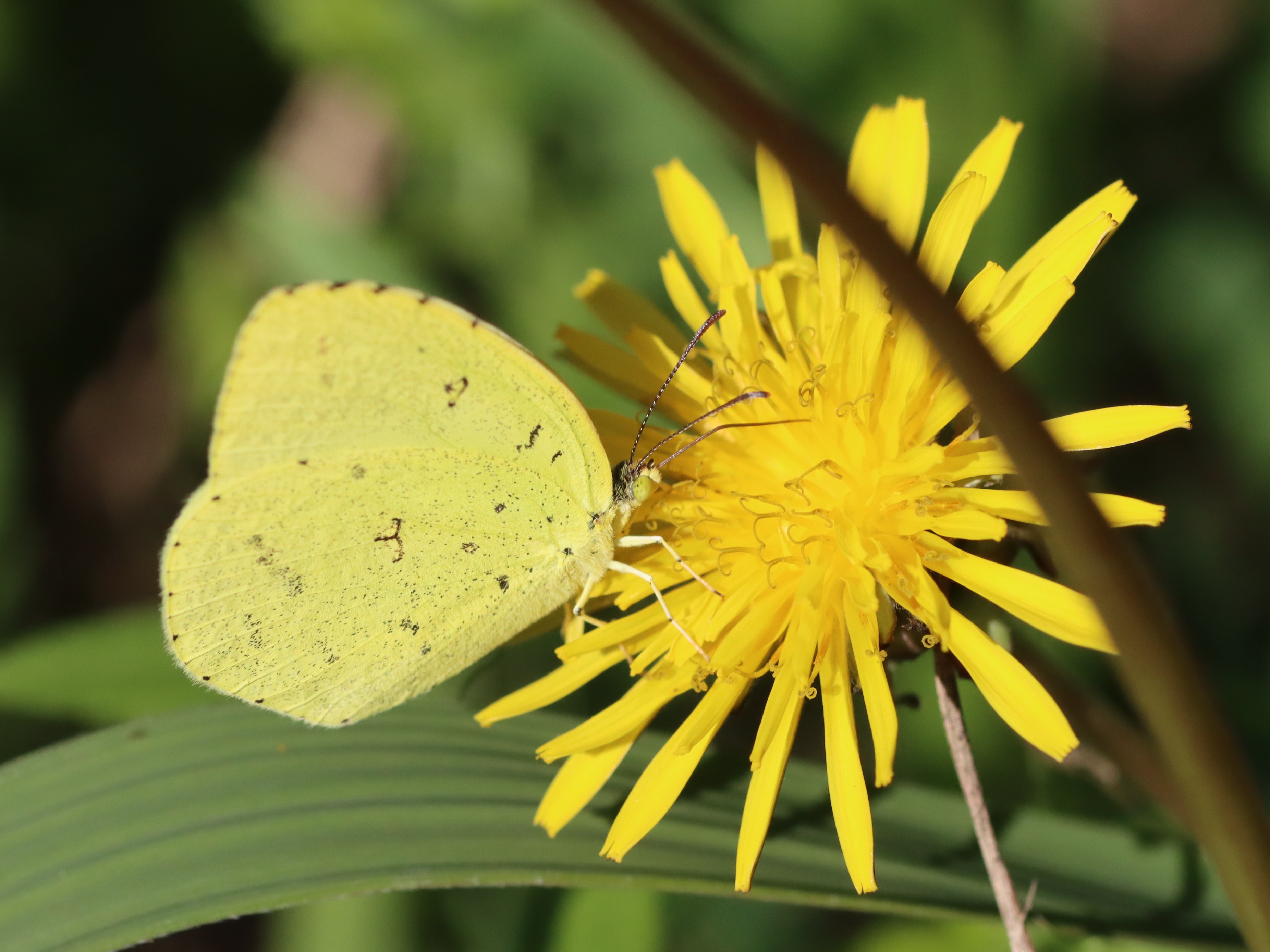 �L�^�L�`���E